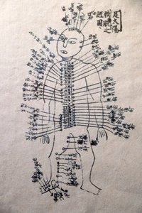 Museo de Medicina Tradicional Vietnamita, Los canales y vasos, Libro de acupuntura, Ciudad Ho Chi Minh, Vietnam