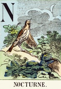N: Nocturno - El Alfabeto de la Caza, c.1890 (grabado) de Unbekannt