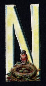 N de Nido. Escarabajo decoupis sobre el tema de los animales. Grabado. Serie de 26 cromolitografías de gofre de origen inglés. Editor e ilustrador desconocidos. Finales del siglo XIX.