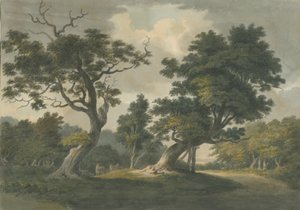 Bosque de Needwood: pintura en acuarela, nd [principios del siglo XIX] de Unbekannt