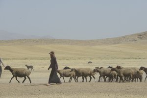 Tiendas nómadas entre Tamar y Ashkhaneh, Irán 2022 (fotografía) de Unbekannter Künstler