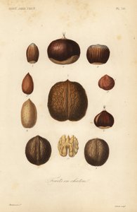 Nueces con cáscara de Unbekannt