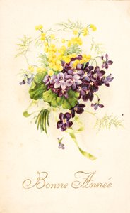 Tarjeta postal antigua/Violeta y Mimosa de Unbekannt