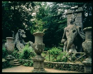 Uno de los elefantes de Aníbal y un dragón luchando con un león, esculturas del Parco dei Mostri (Parque de los Monstruos) jardines diseñados entre 1550-63 por el Duque de Orsini, según diseños de Giacomo Barozzi da Vignola (1507-73) de Unbekannt