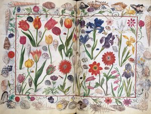 Páginas del Álbum Amicorum de Philipp Hainhofer, 1596-1633 de Unbekannt
