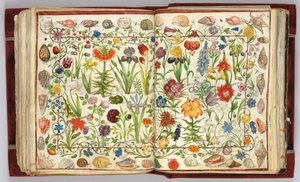 Páginas del Álbum Amicorum de Philipp Hainhofer, 1596-1633 de Unbekannt