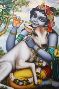 Pintura que representa al dios hindú Krishna tocando una flauta y acariciando un ternero. India de Unbekannt
