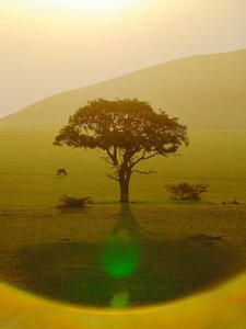 El paraíso después de la lluvia, Chyulu Hills, 2018 (fotografía)