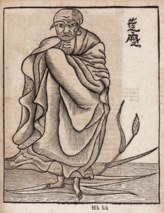 Retrato de Bodhidharma de Unbekannt