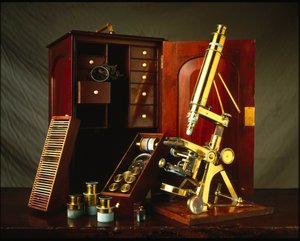 Microscopio de latón Powell y Lealand con tres patas equipado con una caja de madera con varios accesorios de Unbekannt