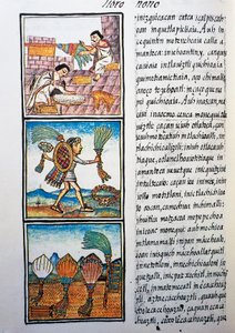 Procesamiento de plumas, texto en náhuatl, facsímil del manuscrito Historia General de las Cosas de la Nueva España, también conocido como Códice Florentino, por Bernardino de Sahagún de William M. Timlin