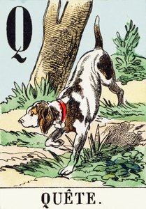 Q: Búsqueda - El Alfabeto de la Caza, c.1890 (grabado) de Unbekannt