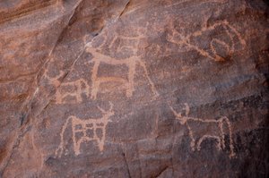 Arte rupestre, Prehistoria: Grabado de un conjunto de ganado, uno de los cuales está en la parte inferior izquierda, en el macizo de Uweinat, Egipto. (Periodo de 8000 a 3000 años a.C.). Fotografía de Unbekannt