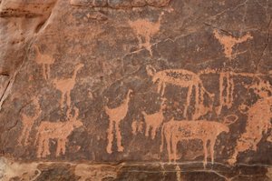 Arte rupestre, Prehistoria: Detalle de un grabado de un conjunto de avestruces y ganado en el macizo de Uweinat, Egipto (Periodo de 8000 a 3000 años a.C.) de Unbekannt