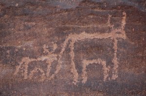 Arte rupestre, Prehistoria: Grabado de una vaca y su ternero en el macizo de Uweinat, Egipto. (Periodo de 8000 a 3000 años a.C.)