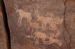 Arte rupestre, Prehistoria: Grabado de un conjunto de antílopes y un perro (abajo a la derecha) en el macizo de Uweinat, Egipto. (Periodo de 8000 a 3000 años a.C.)