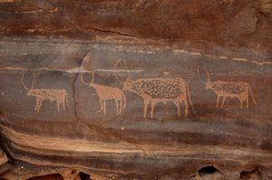 Arte rupestre, Prehistoria: Grabado de cuatro ganado en el macizo de Uweinat, Sudán (Karkur-Talh o Karkur Talh). Periodo de 8000 a 3000 años a.C. Fotografía de Unbekannt