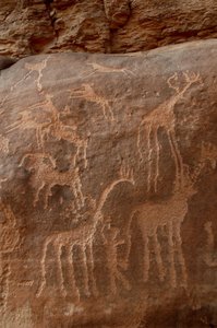 Arte rupestre, Prehistoria: Grabado de jirafas, avestruces, ovejas, perro y personaje en el macizo de Uweinat, Sudán (Karkur-Talh o Karkur Talh). Periodo de 8000 a 3000 años a.C.