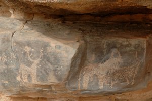 Arte rupestre, Prehistoria: Grabado de tres ganado en el macizo de Uweinat, Sudán (Karkur-Talh o Karkur Talh). Periodo de 8000 a 3000 años a.C. Fotografía