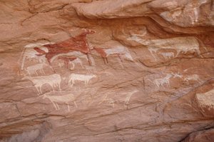 Arte rupestre, Prehistoria: Pintura de un conjunto de ganado en un refugio ornamentado, en el macizo de Uweinat, Sudán (Karkur-Talh o Karkur Talh). Periodo de 8000 a 3000 años a.C. Fotografía de Unbekannt
