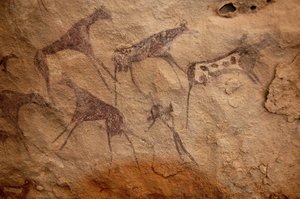Arte rupestre, Prehistoria: Pintura rupestre de un grupo de ganado y personajes policromados en un refugio ornamentado, en el macizo de Uweinat, Sudán. Período de 8000 a 3000 años a.C. Fotografía de Unbekannt