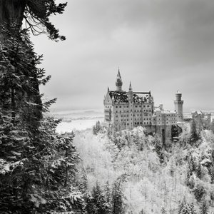 Castillo de Neuschwanstein, Füssen, Alemania, 2013 (fotografía en B/N) de Leopold Blonder