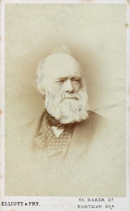 Sir Charles Lyell, geólogo inglés, c 1865-1875