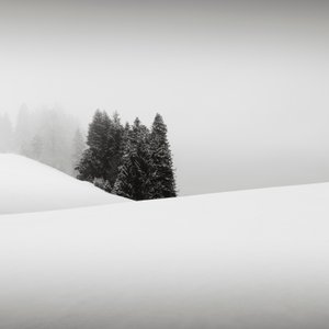 Snowytales Oasis, Baviera, Alemania, 2013 (fotografía en B/N)