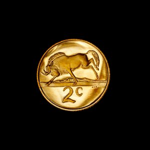 Moneda sudafricana de 2 céntimos