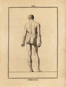 Estatua de Orestes, desnudo, hijo de Agamenón en la mitología griega de Unbekannt