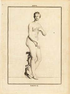 Estatua de Venus, diosa romana del amor, la belleza, el sexo y la fertilidad de Unbekannt