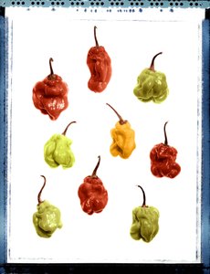 Naturaleza muerta de pimientos amarillos, rojos y verdes