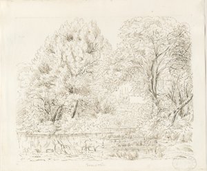 Tamworth - Vista rural: dibujo a tinta, s.f. [siglo XIX] de Unbekannt