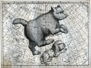 Las Constelaciones Boreales: la Osa Mayor y el Pequeño León. Grabado de Les étoiles et les autres curiosités du ciel de Camille Flammarion de Unbekannt