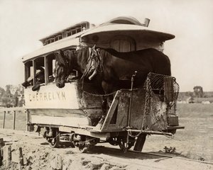 El Carro de Caballos Cherrelyn, Denver, Colorado, c.1890 (foto en blanco y negro) de Nicolas Liez