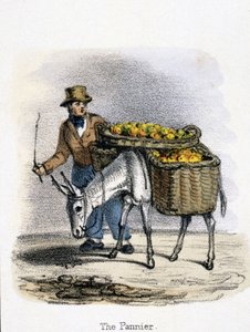 The Pannier