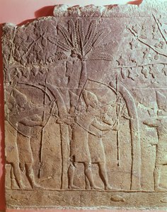 El asedio de Alammu por el ejército de Senaquerib (704-681 a.C.) (detalle)