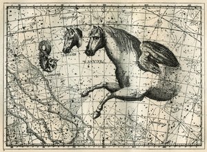 La constelación de Pegaso, dibujada como la mitad anterior de un caballo con un par de alas, el Pequeño Caballo, una cabeza de caballo y el Delfín. Grabado de 