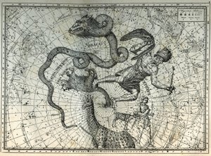Las constelaciones cercanas al Polo Norte: Osa Menor, Dragón, Cefeo, Jirafa, Reno y Messier. Grabado de Les étoiles et les autres curiosités du ciel de Camille Flammarion