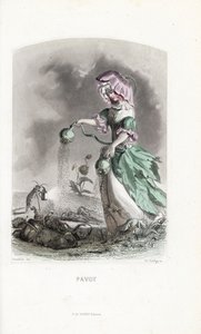La cuota de adormidera rocía vainas de opio sobre coleópteros y langostas drogas - Eau forte de Charles Geoffroy (1819-1882), basado en una ilustración de Jean Ignace Isidore Gerard dit J.J.Granville (1803-1847), para Les fleurs animees de Unbekannter Künstler