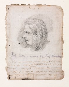 Thomas Henry Huxley, biólogo inglés, mediados-finales del siglo XIX