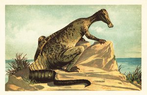 Trachodon mirabilis, dinosaurio hadrosáurido extinto.1908 (litografía) de Unbekannter Künstler