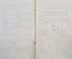 Tratado de Paz y Amistad Eterna entre Francia y Rusia, firmado en París el 20 de julio de Unbekannt