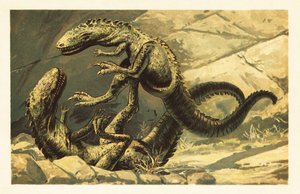 Dos Dryptosaurus aquilunguis batallando.1908 (litografía) de Unbekannter Künstler