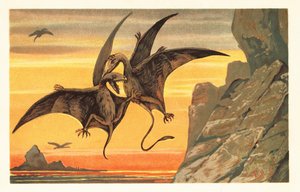 Dos pterodáctilos luchando en pleno vuelo contra un cielo carmesí.1908 (litografía) de Unbekannter Künstler