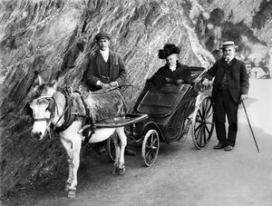 Reino Unido: Un carruaje de inválidos tirado por un burro. 1906