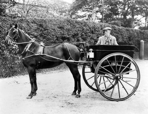 Reino Unido: Un caballo y un coche. c1905