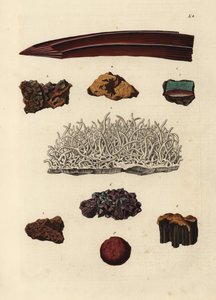 Variedades de mineral de hierro. Grabado en cobre coloreado a mano según una ilustración de Georg Wolfgang Knorr