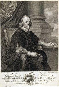 William Harvey, médico inglés de Unbekannt