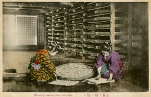 Mujeres madurando capullos de gusanos de seda